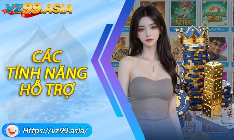Các tính năng hỗ trợ kiểm soát chơi có trách nhiệm tại VZ99