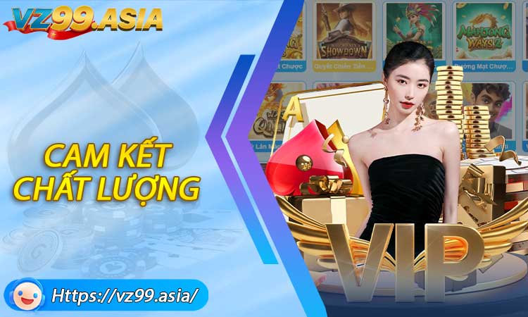 Cam kết chất lượng từ đội ngũ liên hệ VZ99